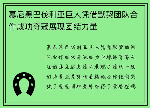 慕尼黑巴伐利亚巨人凭借默契团队合作成功夺冠展现团结力量